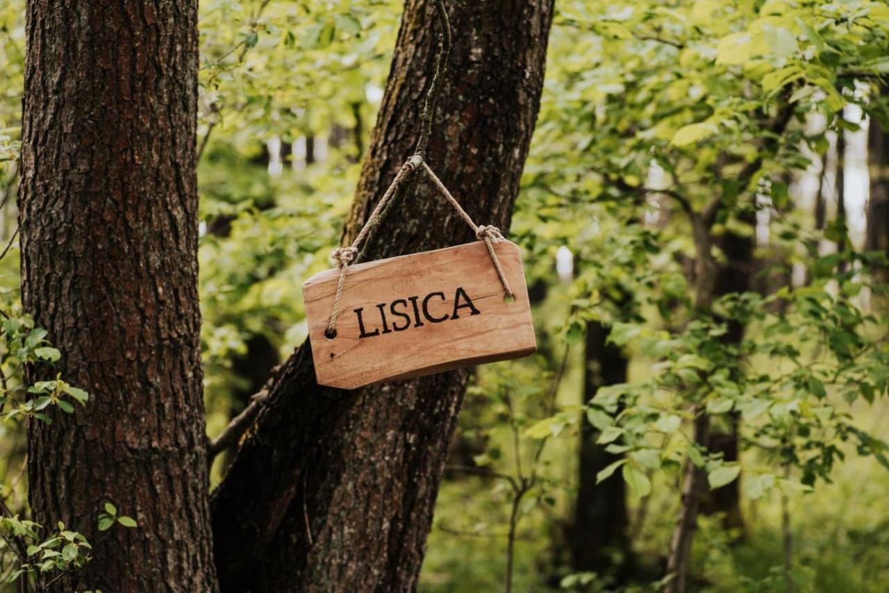 Dziki Las - Domki Na Drzewach Miłomłyn Exterior foto