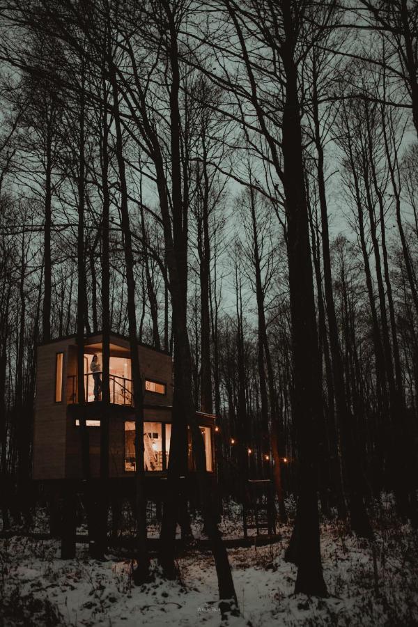 Dziki Las - Domki Na Drzewach Miłomłyn Exterior foto