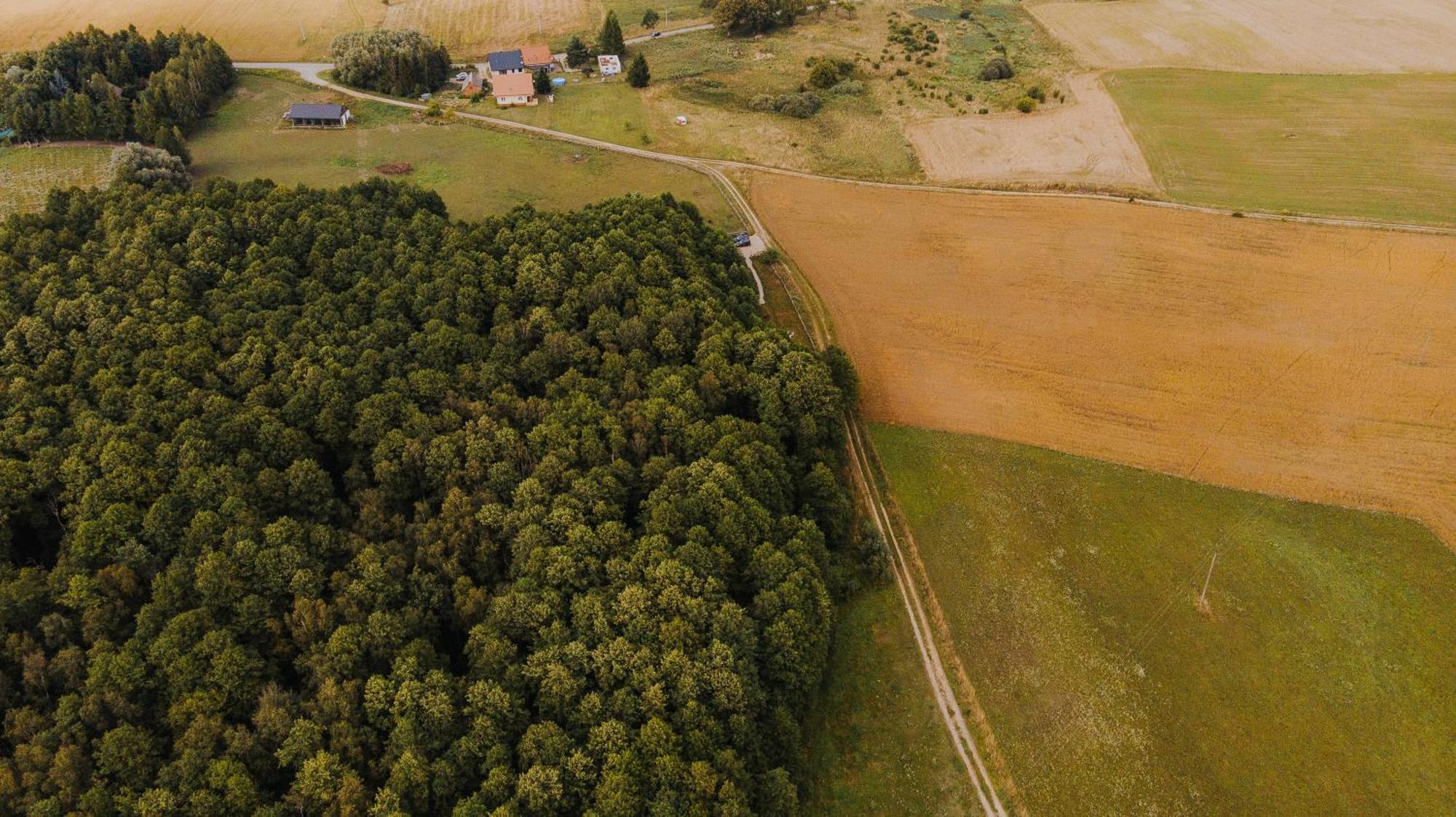 Dziki Las - Domki Na Drzewach Miłomłyn Exterior foto